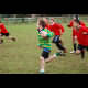 image 34 of 44